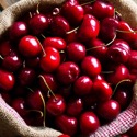 Чем полезна свежая вишня и какие блюда можно из нее приготовить